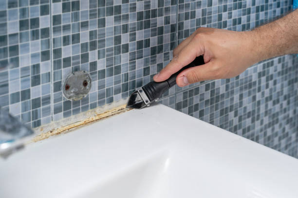 Best Toxic Mold Removal  in South Toms River, NJ